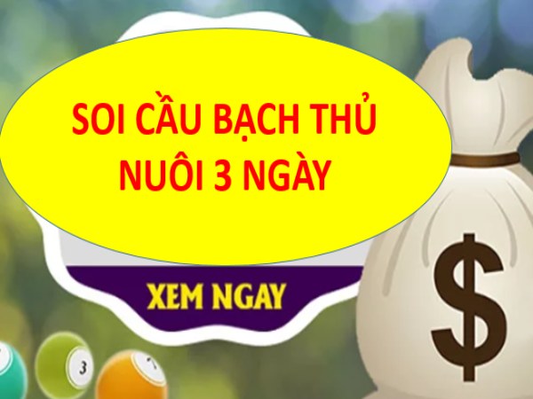 Nuôi bạch thủ lô khung 3 ngày