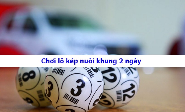 Nuôi lô kép khung 2 ngày 247