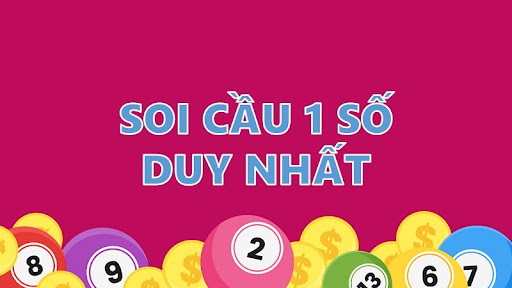 Tong quan ve soi cau 1 so duy nhat 