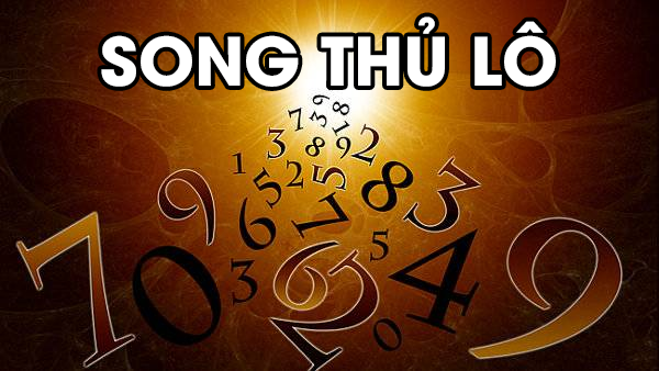Tong quan ve song thu lo 