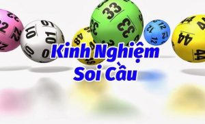 bi bi kip soi cau lo de