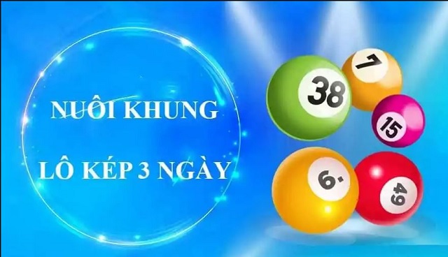 nuoi lo kep khung 3 ngay 247