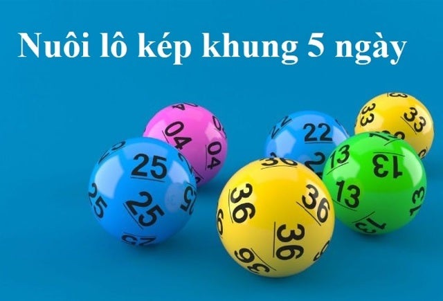 nuoi lo kep khung 5 ngay 247